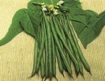 Fasola Eden 1kg
