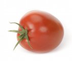Pomidor Plumola 100n