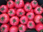 Pomidor Framboo 1000n