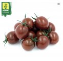 Pomidor Chocolina 100n