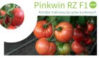 Pomidor Pinkwin 100n