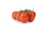 Pomidor Plumola 1000n