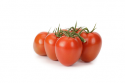 Pomidor Plumola 1000n
