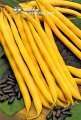 Fasola Rocquencourt 1kg