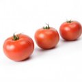 Pomidor Securitas 100n