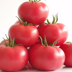 Pomidor Manistella 250n