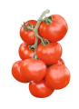 Pomidor Abellus 500n
