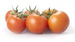 Pomidor Cappricia 500n