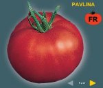 Pomidor Pavlina 10g