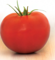 Pomidor Epundo 500n