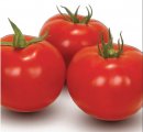 Pomidor Bobcat 1000n