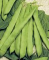 Fasola Baroma 1kg