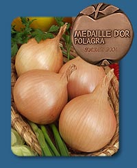 Cebula Polanowska 500g