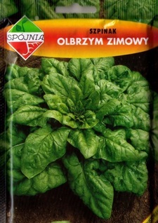 Szpinak Olbrzym Zimowy 500g - Kliknij na obrazek aby go zamknąć